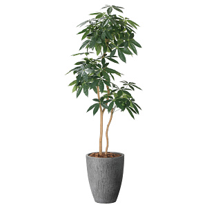 光触媒 人工観葉植物 造花 ナチュラルパキラ1.8 (高さ180cm)