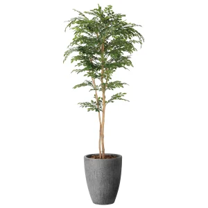 光触媒 人工観葉植物 造花 ナチュラルトネリコ1.8 (高さ180cm) (2407A720)