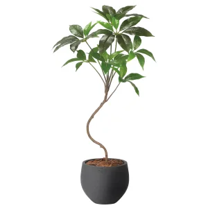 光触媒 人工観葉植物 造花 ナチュラルツピタンサス1.0 (高さ100cm) (2409A190)