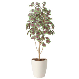 光触媒 人工観葉植物 造花 コリウス1.1 (高さ110cm)