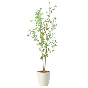 光触媒 人工観葉植物 造花 クロモジ1.6 (高さ160cm)