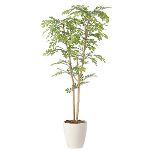 光触媒 人工観葉植物 造花 ライトトネリコ1.3 (高さ130cm)