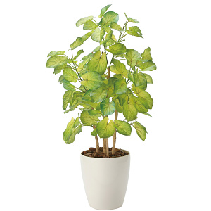 光触媒 人工観葉植物 造花 バウヒニア70 (高さ70cm)