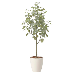 光触媒 人工観葉植物 造花 ユーカリツリー1.35 (高さ135cm)