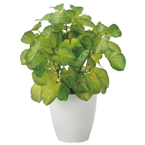 光触媒 人工観葉植物 造花 バウヒニア (高さ40cm)