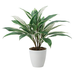 光触媒 人工観葉植物 造花 ドラセナ (高さ50cm)