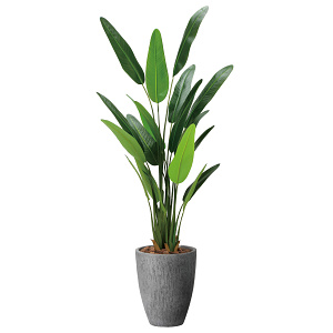 光触媒 人工観葉植物 造花 ナチュラルトラベラーズパーム1.6 (高さ160cm)