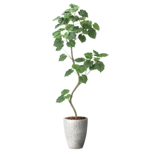 光触媒 人工観葉植物 造花 ナチュラルウンベラータ1.9(組立式) (高さ190cm) (2499A740)