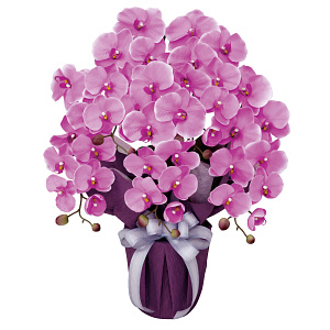 光触媒 人工観葉植物 造花 エレガント胡蝶蘭5本立L (高さ64cm)