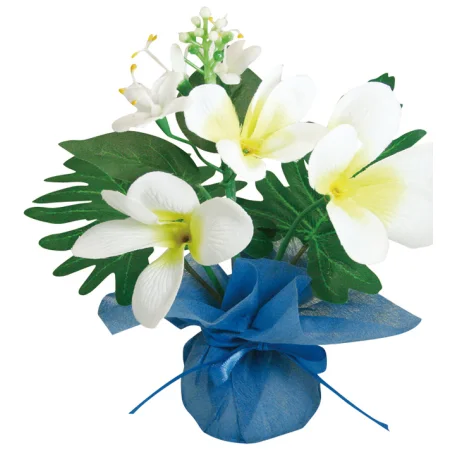 【2026年夏】ミニミニポットプルメリア (No182-20)