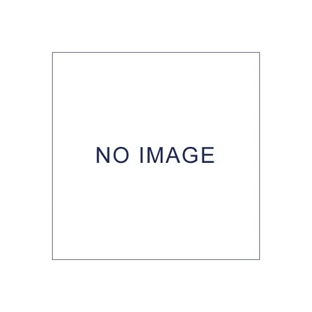 電動清掃用品 乾式用掃除機 ドライバキュームクリーナー (RD-ECO2・370) 用 紙パック (10枚入) (EP-525-025-0)