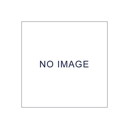 電動清掃用品 湿乾両用掃除機 ヌマティック (Q402・チャールス) 用 フィルター (10枚入) (EP-529-820-0)