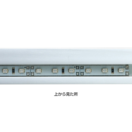 ■上から見たところ