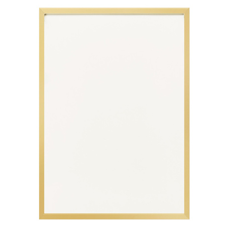 ■正面写真(ゴールド)