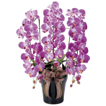 光触媒 人工観葉植物 造花 ロイヤル胡蝶蘭 (高さ76cm)