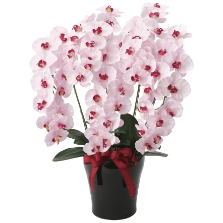 光触媒 人工観葉植物 造花 プレミアム胡蝶蘭5本立 (高さ75cm)