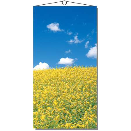 【2026年春】タペストリー NEW菜の花 (No181-3)