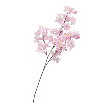 【2026年春】中桜ブランチ 3本立 (No181-18)