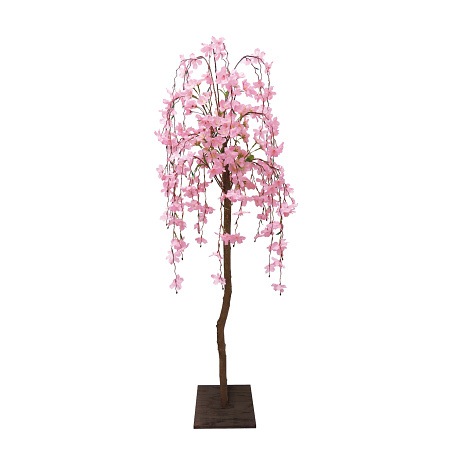 【2025年春商品】シダレ桜立木 (No177-11_06)