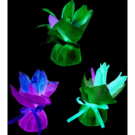 【2025年春商品】ミニミニポットチューリップ (No177-18_05)