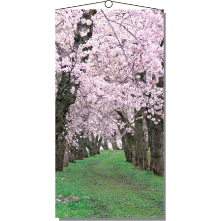 【2026年春】タペストリー 桜新緑 (No181-3)