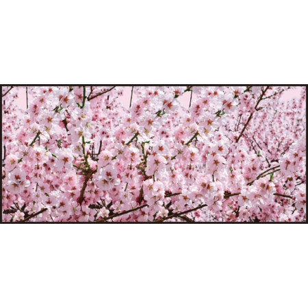 【2026年春】ディスプレイシート 桜満開 【限定品】 (No181-4)