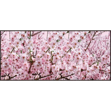 【2026年春】ディスプレイシート 桜満開 【限定品】 (No181-4)