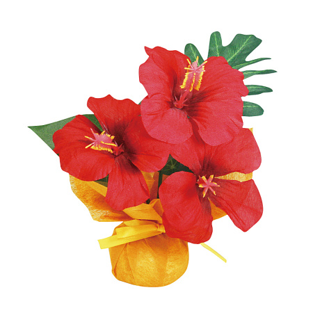 【2025年夏】ミニミニポットハイビスカス レッド (No178-22_02)