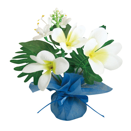 【2025年夏】ミニミニポットプルメリア (No178-22_05)