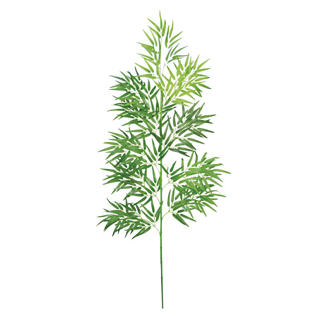 【2025年夏】バンブーツリー180cm (No178-13_01)