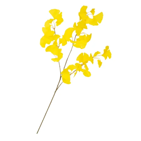 【2025年秋商品】イチョウ(No179-1504)