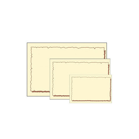 色付ショーカード