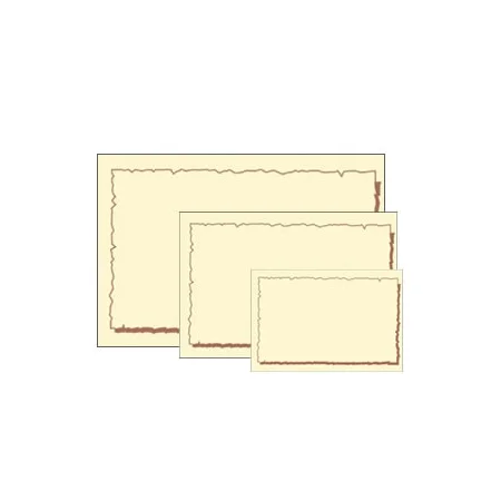 色付ショーカード