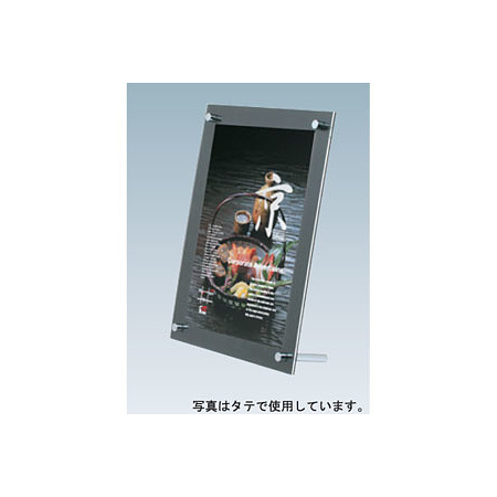 ポピックフレーム PF-244