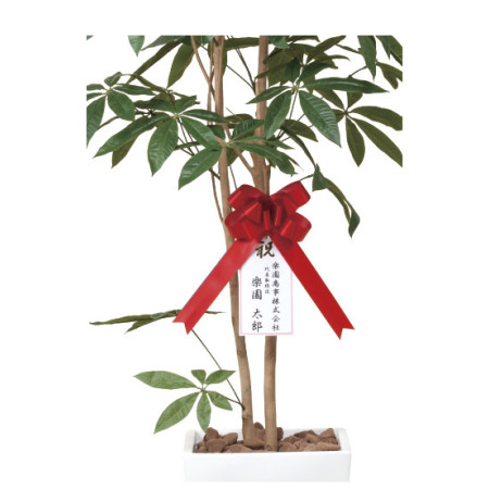 ■贈答用としてメッセージカード・お祝い札/リボンもお受けしております。（料金別途）