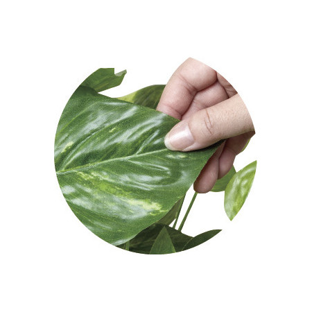 ■本物の葉のような質感