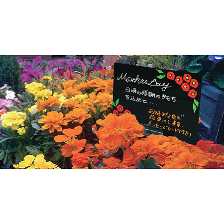 ■ポッププレート使用例（スタンドは別売です）