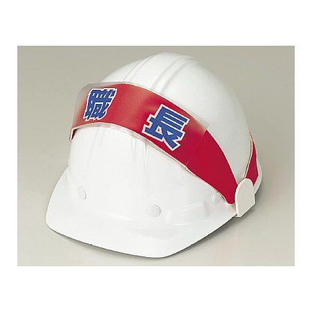 ■ヘルタイ用ネームカバー 使用例