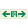 非常口 通路誘導標識 (蓄光) 100×300 ← → (319-66B)