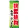 のぼり旗 観葉植物各種ございます (GNB-2531)