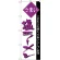 のぼり旗 うまい 塩ラーメン 紫 (H-39)