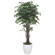 光触媒 人工観葉植物 造花 ベンジャミンリアナ 1.8 (高さ180cm) (152H620)