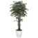 光触媒 人工観葉植物 造花 ベンジャミンリアナ 1.8 (高さ180cm) (152H620)