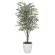 光触媒 人工観葉植物 造花 ベンジャミンツリー斑入り 1.6 (高さ160cm) (153Ｋ430)