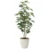 光触媒 人工観葉植物 造花 カポック 1.8 (高さ180cm) (158Ｋ365)