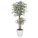 光触媒 人工観葉植物 造花 トロピカルベンジャミン斑入り 1.6 (高さ160cm) (166Ｋ480)