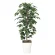 光触媒 人工観葉植物 造花 フィカスベンジャミン 1.2 (高さ120cm) (189K180)