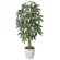 光触媒 人工観葉植物 造花 パキラ 1.0 (高さ100cm) (199P165)