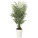 光触媒 人工観葉植物 造花 アレカパ-ム1.7(ポリ製) (高さ170cm) (2006P500)