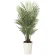 光触媒 人工観葉植物 造花 アレカパ-ム1.7(ポリ製) (高さ170cm) (2006P500)